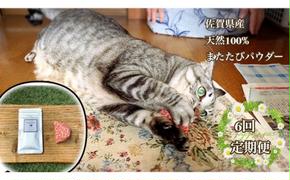 FB105  猫用☆天然100％ 無添加・無農薬またたびパウダー＆蹴りぐるみ1個【定期便6回】