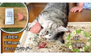 FB104  猫用☆天然100％無添加・ 無農薬またたびパウダー＆蹴りぐるみ1個【定期便3回】