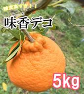 DG019 _味香デコ 5ｋｇ 糖度高すぎッ！14度以上 不知火 みかん フレッシュ 限定　くだもの フルーツ