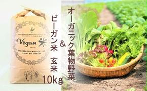 CQ025 【11月以降発送】オーガニック葉物野菜セットとビーガン玄米10kg【植物性で育てた完全無農薬のサガンベジブランド】