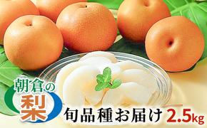 梨 季節の朝倉の梨 2.5kg 2-6玉 配送不可 離島 果物 フルーツ デザート おやつ 福岡県産 朝倉市産 秋の味覚 幸水 豊水 秋月 新高 南水 
