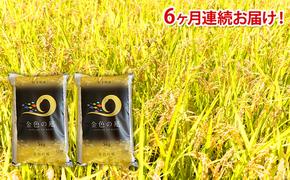 【6ヶ月定期便】岩手県産 一等米・金色の風（精米）10kg（5kg×2袋）×6回