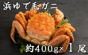 18-113 流氷明け浜ゆで毛ガニ約400g