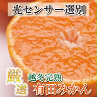 ＜2025年1月より発送＞厳選 越冬完熟みかん1.5kg+45g（傷み補償分）【ハウスみかん】【光センサー選果】　※北海道・沖縄・離島への配送不可　※2025年1月中旬～2月下旬頃に順次発送予定