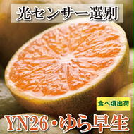 ＜2024年9月より発送＞家庭用 極早生有田みかん7.5kg+225g（傷み補償分）【YN26・ゆら早生】【わけあり・訳あり】　※北海道・沖縄・離島への配送不可　※2024年9月中旬～11月中旬頃に順次発送予定