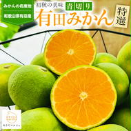 【先行予約】【初秋の美味】特選！濃厚青切り有田みかん 約3kg ※沖縄・離島への配送不可 ※2025年9月中旬～10月中旬頃に順次発送予定