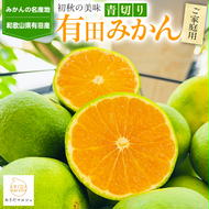【先行予約】【初秋の美味】有田育ちのご家庭用訳あり濃厚青切り有田みかん 約10kg ※2025年9月中旬～10月中旬頃に順次発送予定 ※沖縄・離島への配送は不可