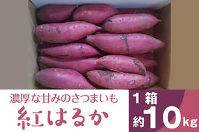 BZ-14　【2024年11月より順次発送】2024年度産 濃厚な甘みのさつまいも 『紅はるか』約10kg