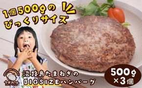 淡路島たまねぎのBIG SIZEハンバーグ 500g×3個　　[ハンバーグ 淡路島 ハンバーグ 合挽 ハンバーグ]