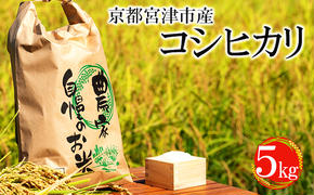 令和6年産 京都宮津市産コシヒカリ 5kg お米 白米 精米 コシヒカリ 5キロ 送料無料 ギフト ごはん ご飯 おにぎり お弁当