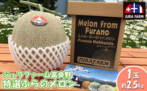 【2025年6月下旬～発送】特選 ふらの メロン 1玉 約2.5kg 北海道 富良野市 赤肉メロン (ジュラファーム富良野) メロン フルーツ 果物 新鮮 甘い 贈り物 ギフト 道産 ジューシー おやつ ふらの ブランド 夏 