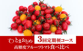 【 定期便 3回 】 栃木県 鹿沼産 高糖度 フルーツトマト ”とまおとめ” 食べ比べ 1kg×3回 お届け：1月中旬～5月下旬 トマト カキヌマファーム アイコ フルティカ アルル イエローアイコ 鹿沼市