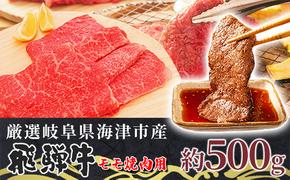 【飛騨牛】海津市産モモ焼肉オリジナルカット 【配達不可：離島】