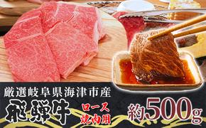 【飛騨牛】海津市産ロース焼肉オリジナルカット 【配達不可：離島】