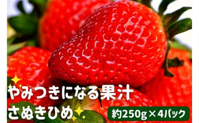 丸亀産　さぬきひめ苺　4パック【11月下旬発送開始】