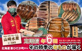 ＜定期便6回＞北海道産 旬のお魚 4～5種 お楽しみ定期便