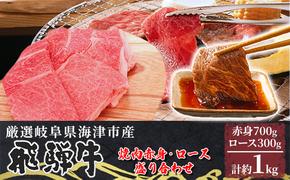 【飛騨牛】海津市産焼肉赤身・ロース盛り合わせオリジナルカット 【配達不可：離島】