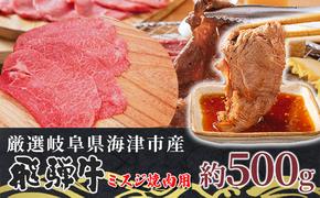 【数量限定】【飛騨牛】海津市産ミスジ焼肉オリジナルカット 【配達不可：離島】