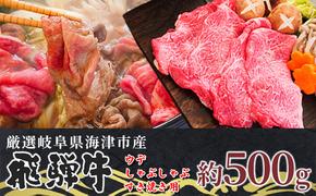 【飛騨牛】海津市産ウデしゃぶしゃぶすき焼き用スライス 【配達不可：離島】