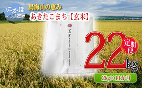 新米 米 お米 《定期便》2kg×11ヶ月 鳥海山の恵み！秋田県産 あきたこまち ひの米（玄米）計22kg（2kg×11回連続）