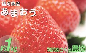 いちご あまおう 福岡県産 約1kg 250g×4パック 筑前あさくら農協 配送不可 離島