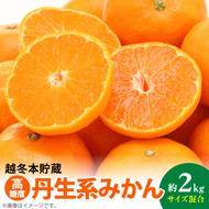 AB7067n_【高糖系みかん】越冬本貯蔵 丹生系みかん 約2kg