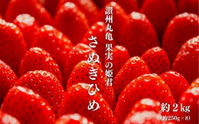 いちご 苺 約2kg 250g 8パック 2L サイズ さぬきひめ さぬき姫 ストロベリー ベリー 果物 くだもの フルーツ ジュース スイーツ デザート 旬 期間限定 数量限定 香川県 丸亀市