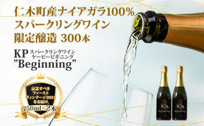 【北海道産ワイン】 限定スパークリングワイン KP”Beginning" 750ml×2本 仁木町産ナイアガラ100%使用 ワイン 白 辛口 スパークリング