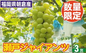 2025年8月15日迄受付 瀬戸ジャイアンツ ぶどう 3房 約1.5kg 朝倉産 配送不可 離島 ブドウ 葡萄 オンライン決済限定