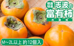 2024年先行予約 志波の富有柿 M～2Lサイズ×約12個入（冷蔵）※配送不可：離島