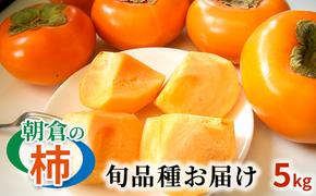 柿 朝倉の柿はじめました。季節の朝倉の柿 約5kg 16-20玉 配送不可 離島