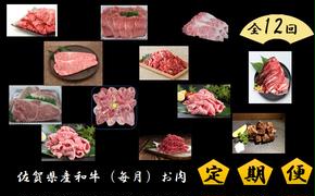 DV065_佐賀県産和牛 定期便12回 毎月お届け お肉