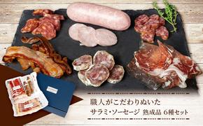 サラミ ソーセージ 詰め合わせ ルネサンス シャルキュトリー 熟成品 6種 セット 熟成肉 ウィンナー ウインナー 白カビサラミ 白カビ ギフト 肉 お肉 豚肉 豚