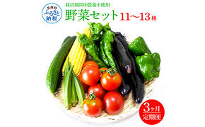 t138slv 野菜セット(11-13種類)[3カ月定期便] 栽培期間中農薬不使用! 季節の野菜 定期コース 定期 無農薬 野菜 やさい 新鮮 自然 健康 セット 詰め合わせ 冷蔵 美味しい おいしい 食べ物 食材 秋 旬の味覚 ご当地 お取り寄せ 芸西村 30000円 故郷納税 返礼品