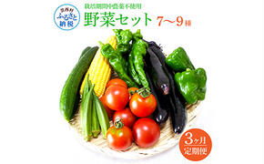 t139slv　野菜セット（7‐9種類） 《3カ月定期便》 栽培期間中農薬不使用！ 季節の野菜 定期コース 定期 無農薬 野菜 やさい 新鮮 自然 健康 セット 詰め合わせ 冷蔵 美味しい おいしい 食べ物 食材 秋 旬の味覚 ご当地 お取り寄せ 芸西村 18000円 故郷納税 返礼品