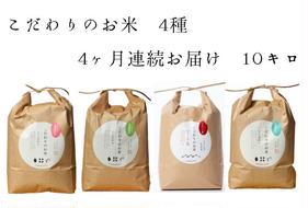 【4カ月連続でお届け】北本農場 「こだわりのお米」 令和6年度産　精米 10kg