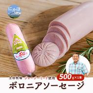 生食OK！ジャージーミート使用 ボロニアソーセージ500g×1本