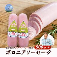 生食OK！ジャージーミート使用 ボロニアソーセージ500g×2本