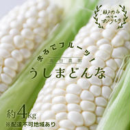  ［2025年先行予約］ まるでフルーツ！ 生で甘い、茹でて美味い！牛窓産 白色 とうもろこし 「うしまどんな」約4kg（8～12本入り）