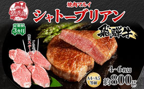 飛騨牛 シャトーブリアン ステーキ 3ヵ月定期便約800g 4～6枚切り×3 肉 牛肉 和牛 ブランド牛 お肉 ビーフ ヒレ 希少部位 赤身 贅沢 国産  ご褒美 豪華 グルメ 焼肉 BBQ パーティー ギフト 贈り物 自家用 贈答用 送料無料 焼肉マルイ 岐阜県 【 安八町 】