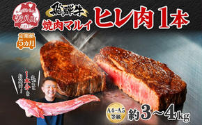 飛騨牛 ヒレ肉 ブロック A4～A5等級 1本5ヵ月定期便約3～4kg  3割×5 ヒレ シャトーブリアン 肉 牛肉 ブランド牛 お肉 和牛 贅沢 お取り寄せ ご褒美 ステーキ 豪華 グルメ 焼肉 BBQ パーティー ギフト 贈り物 自家用 贈答用 焼肉マルイ 岐阜県 【 安八町 】