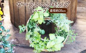 ハーブ サークルハンキング 直径35cm 植物 インテリア ガーデン