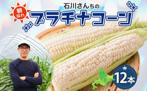 北海道 月形町産 石川さんちの プラチナコーン 12本 白い とうもろこし コーン ホワイト 野菜 夏野菜 旬 生 完熟 甘い ジューシー 採れたて 新鮮 朝採れ お取り寄せ 産地直送 エーコープつきがた 送料無料