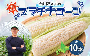 北海道 月形町産 石川さんちの プラチナコーン 10本 白い とうもろこし コーン ホワイト 野菜 夏野菜 旬 生 完熟 甘い ジューシー 採れたて 新鮮 朝採れ お取り寄せ 産地直送 エーコープつきがた 送料無料