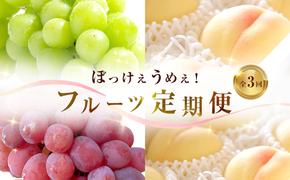 【 2025年 先行予約 】ぶどう 桃 ぼっけぇうめぇ フルーツ 定期便 3回 コース -2  ( 白桃 ・ シャインマスカット ・ 紫苑 )《2025年8月-10月出荷》 岡山県産 フルーツ 果物 数量限定 里庄町