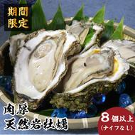 先行予約 秋田の肉厚な天然岩牡蠣（岩ガキ 8個以上）ナイフ無し かき カキ 秋田県 にかほ市産 天然 岩牡蠣  殻付 牡蠣 海産物 魚介類 海鮮