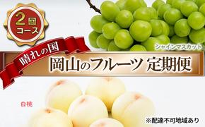 フルーツ 2025年 先行予約 晴れの国 岡山 の フルーツ 定期便 2回コース 桃 ぶどう 岡山県産 国産 フルーツ 果物 ギフト