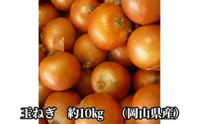 先行予約 玉ねぎ 約10kg（岡山県産） 晴れの国ファーム