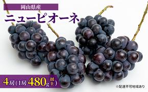 ぶどう 2025年 先行予約 ニュー ピオーネ 4房（1房480g以上）約2kg ブドウ 葡萄  岡山県産 国産 フルーツ 果物 ギフト