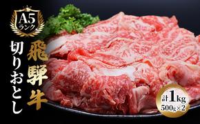 飛騨牛 牛肉 切り落とし 500g×2 計1kg A5 和牛